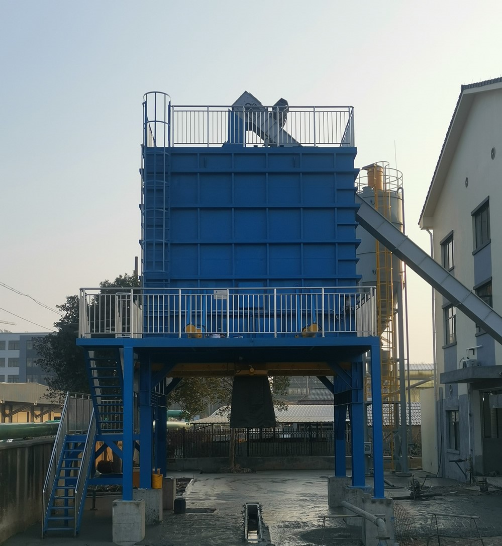 �������̎��